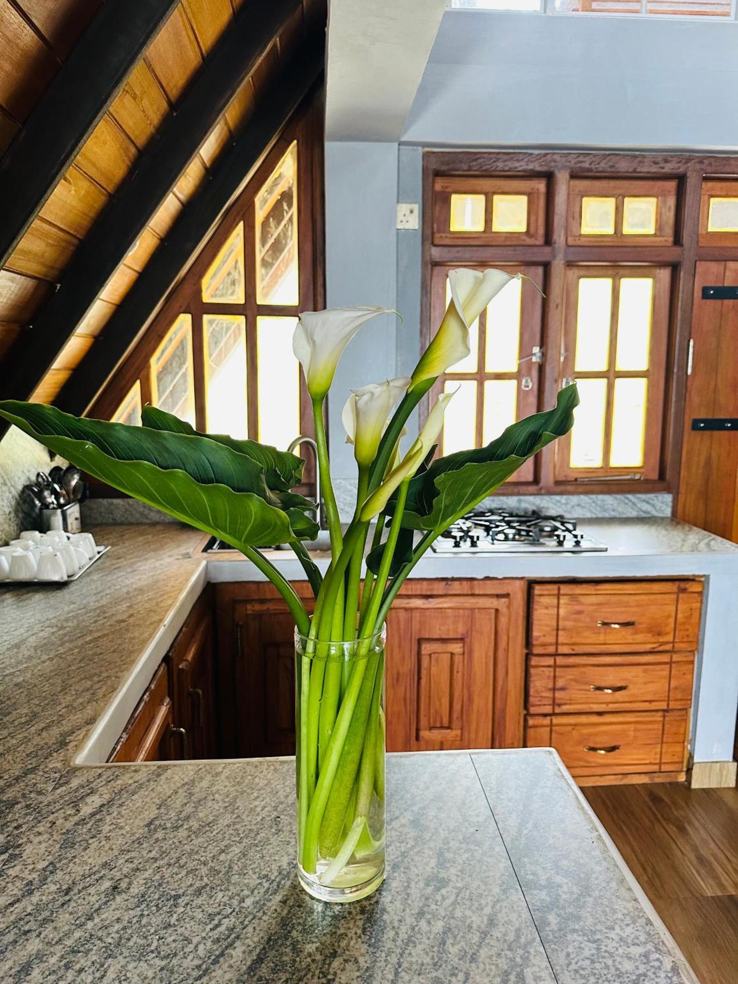 Cabin 7000 Feet Nuwaraeliya Nuwara Eliya Ngoại thất bức ảnh